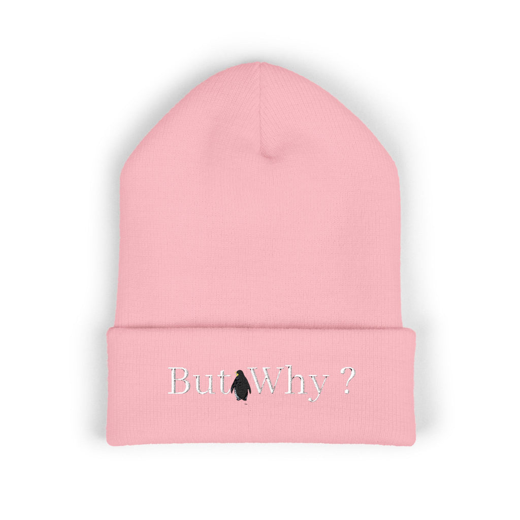 But Why? Embroidered Cuffed Beanie
