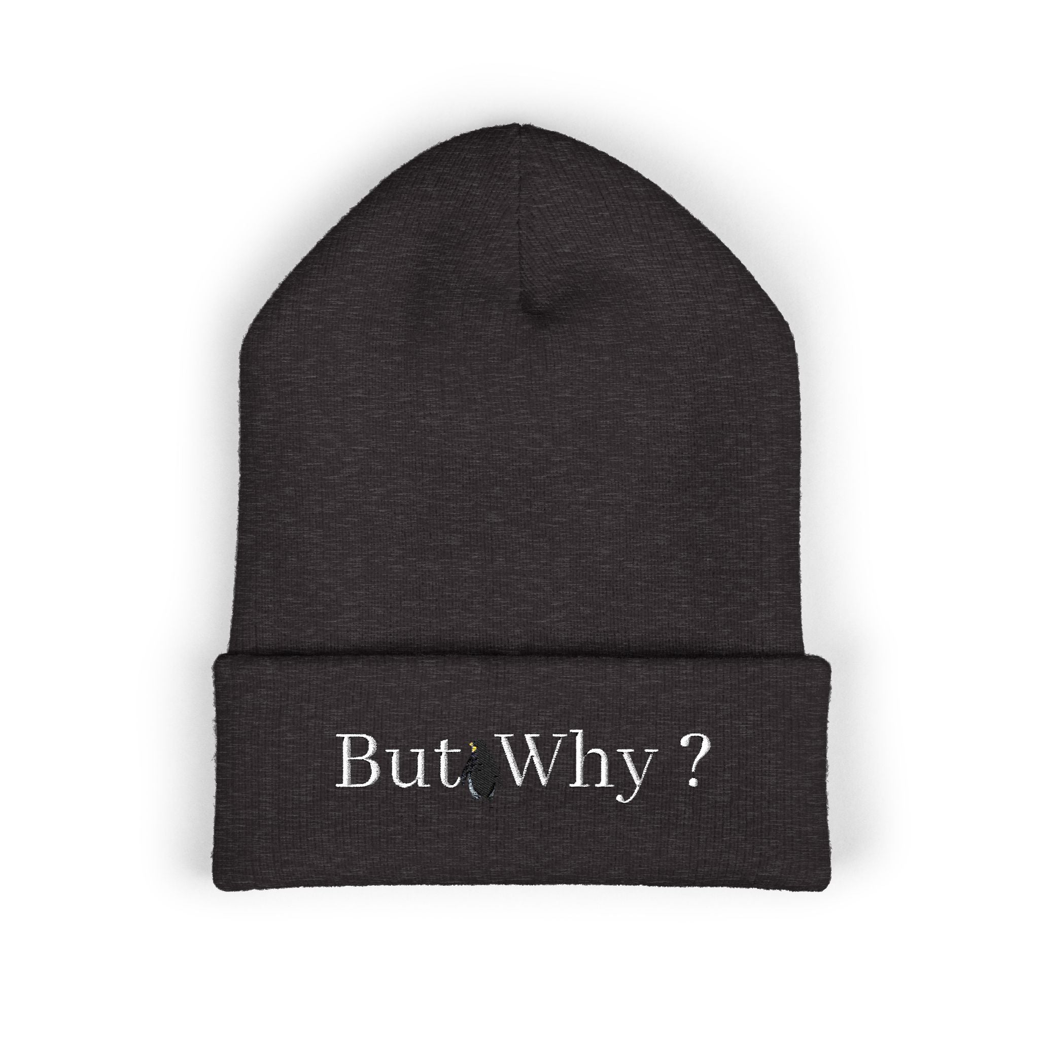 But Why? Embroidered Cuffed Beanie