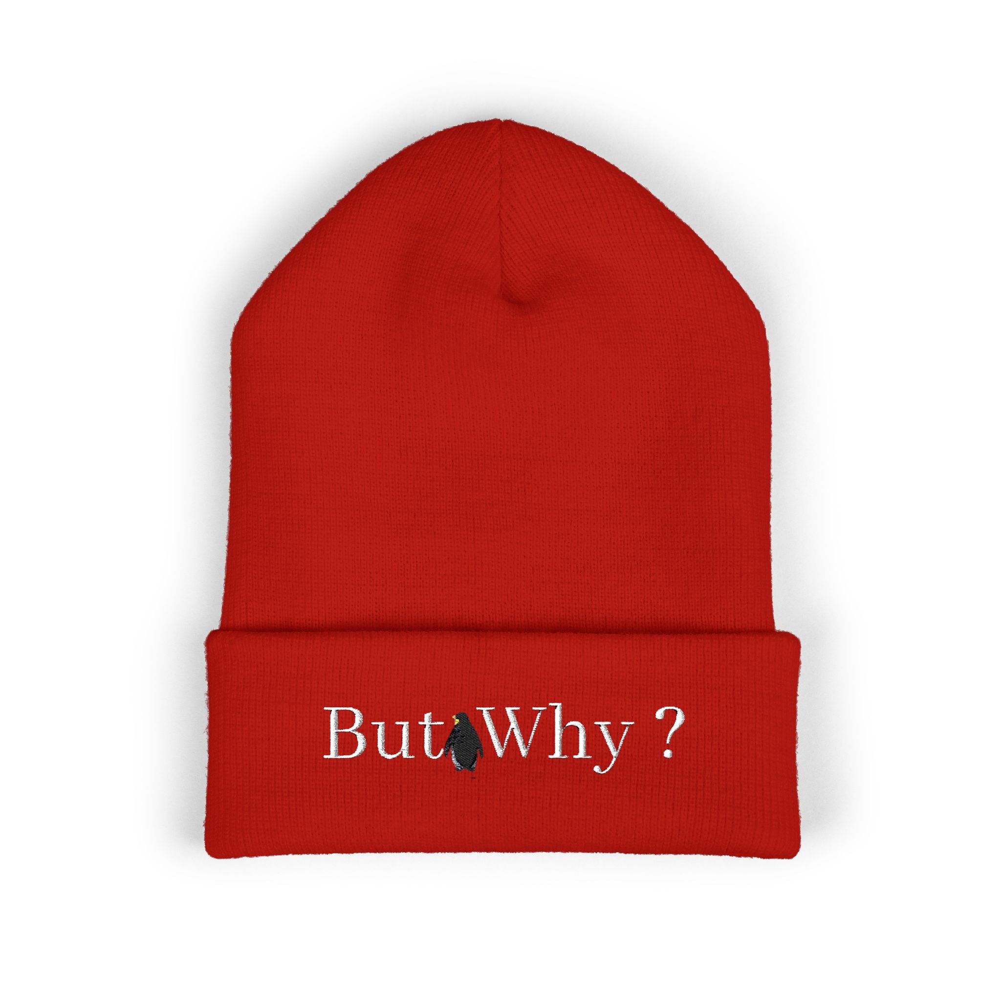 But Why? Embroidered Cuffed Beanie