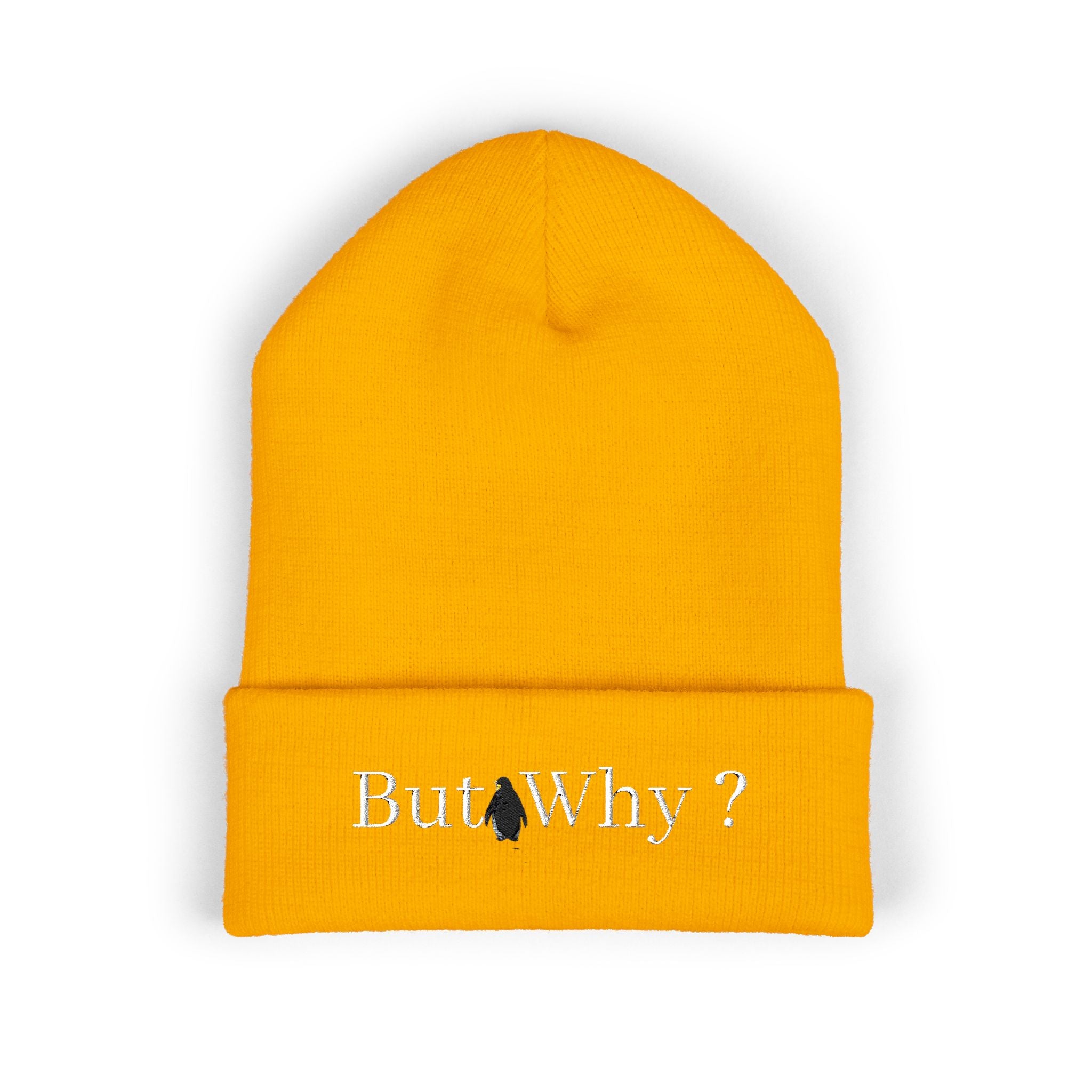 But Why? Embroidered Cuffed Beanie