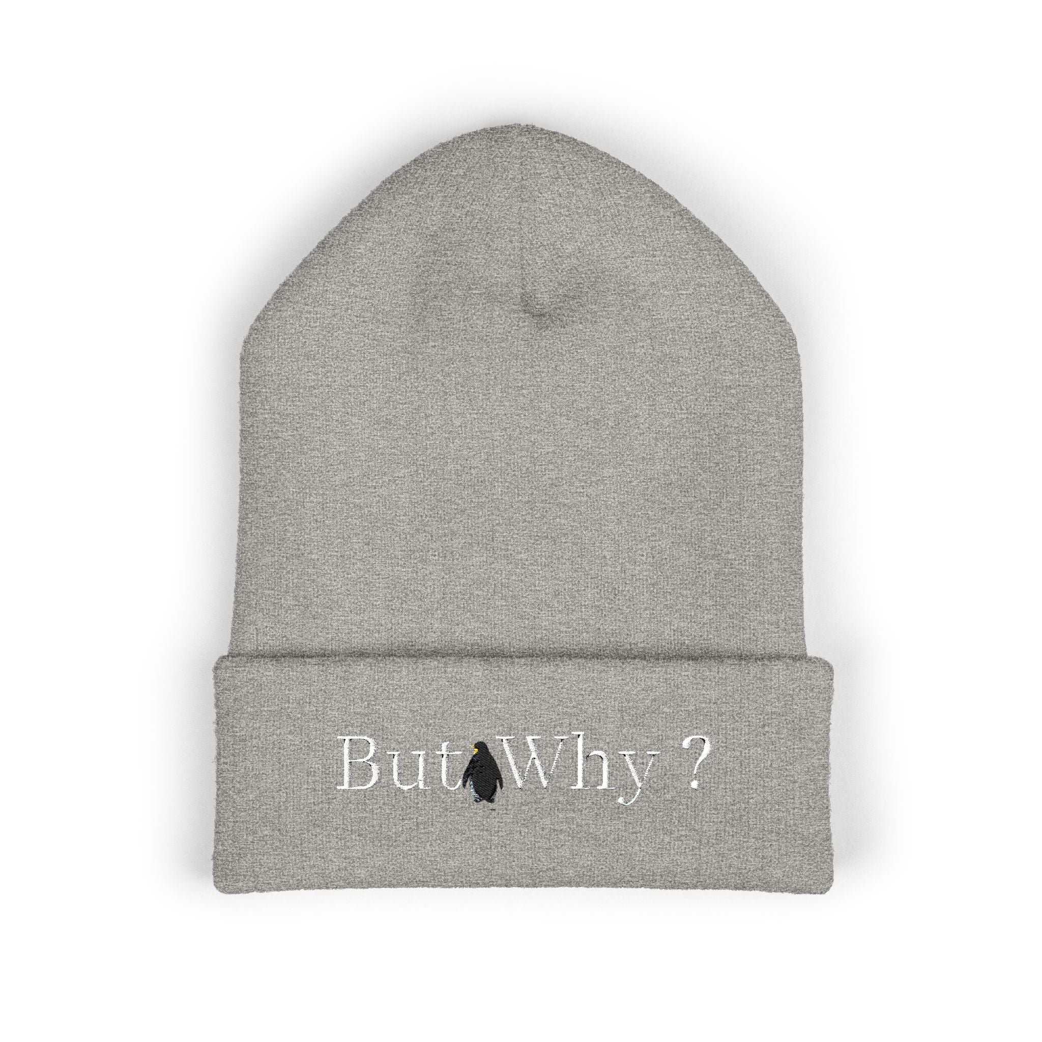 But Why? Embroidered Cuffed Beanie