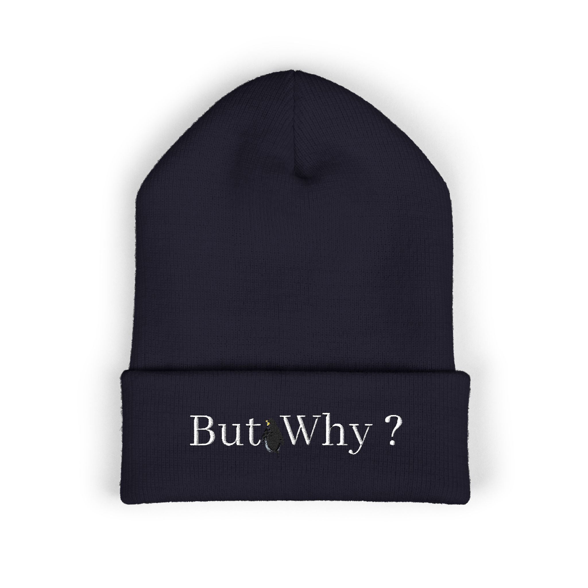 But Why? Embroidered Cuffed Beanie