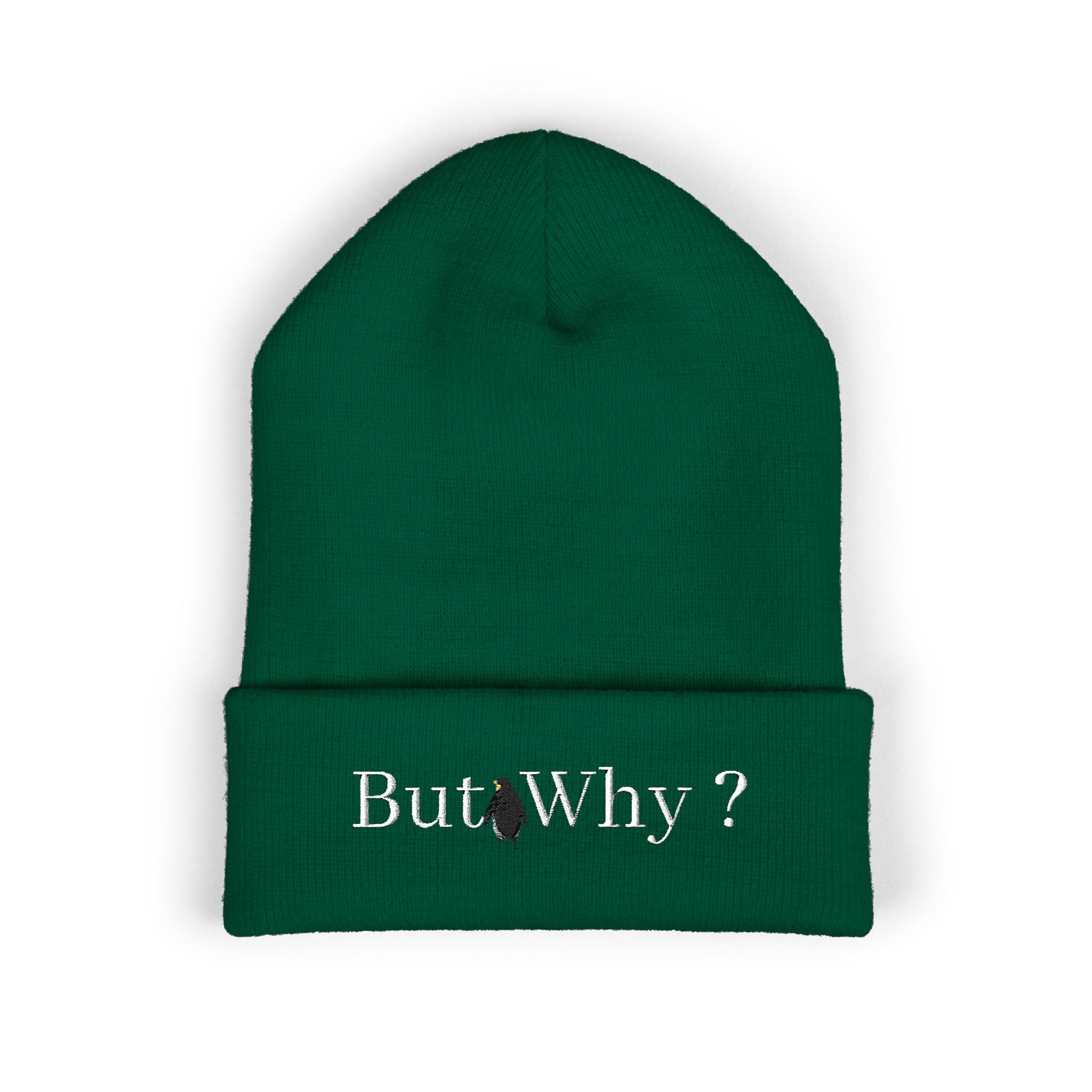 But Why? Embroidered Cuffed Beanie