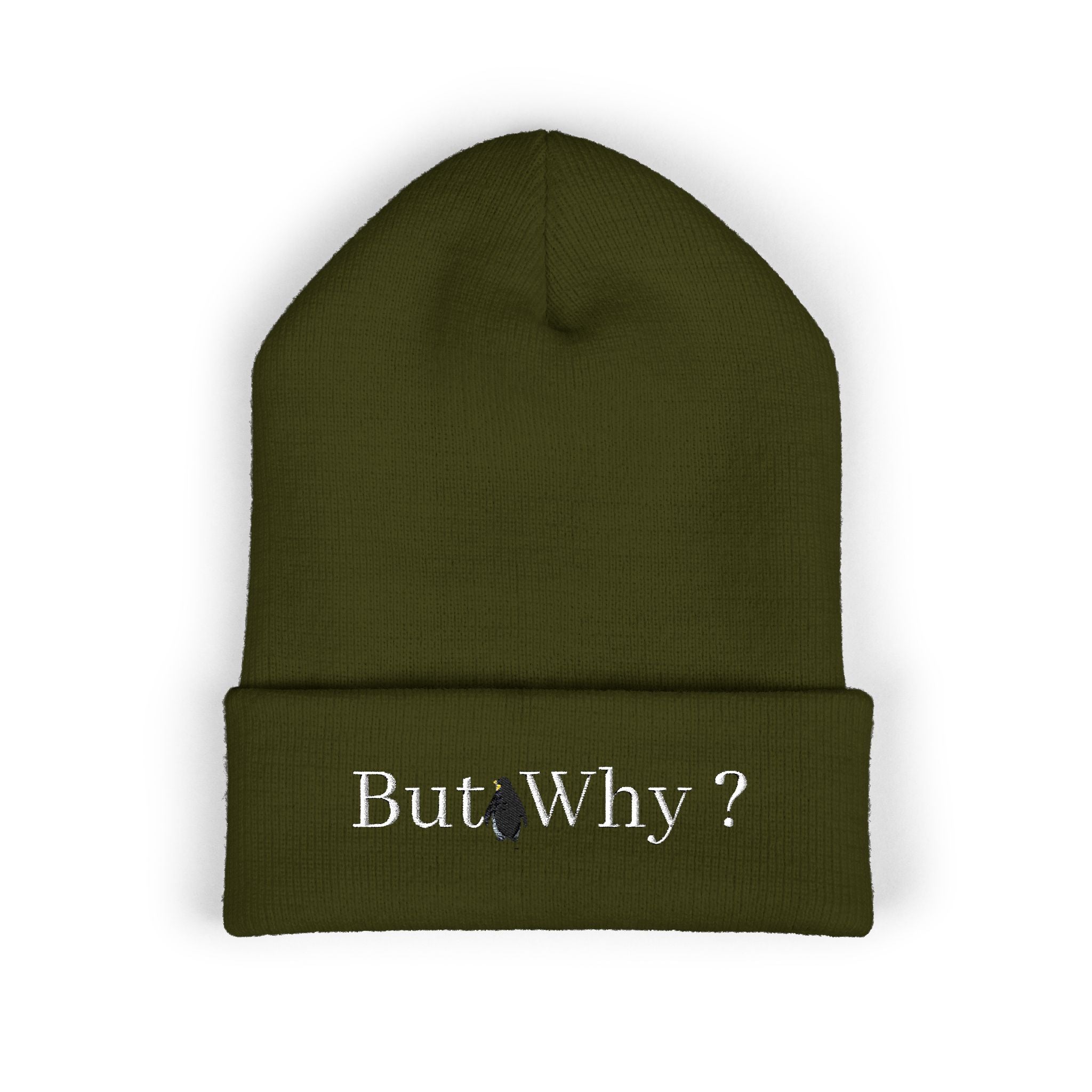 But Why? Embroidered Cuffed Beanie