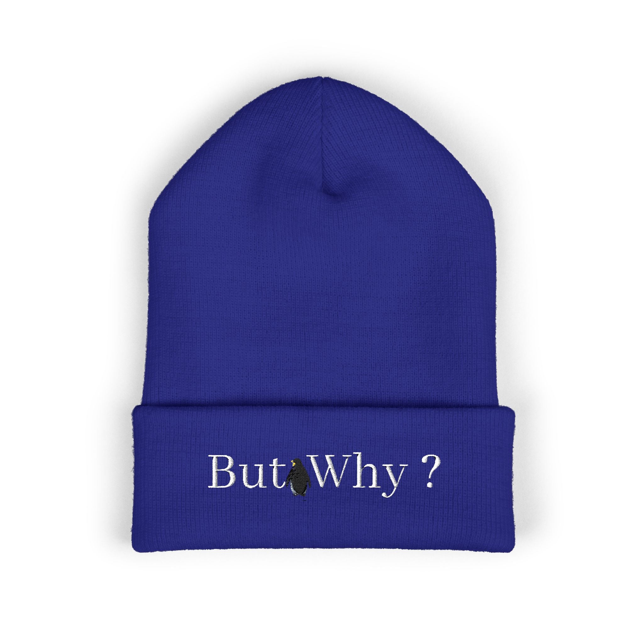 But Why? Embroidered Cuffed Beanie
